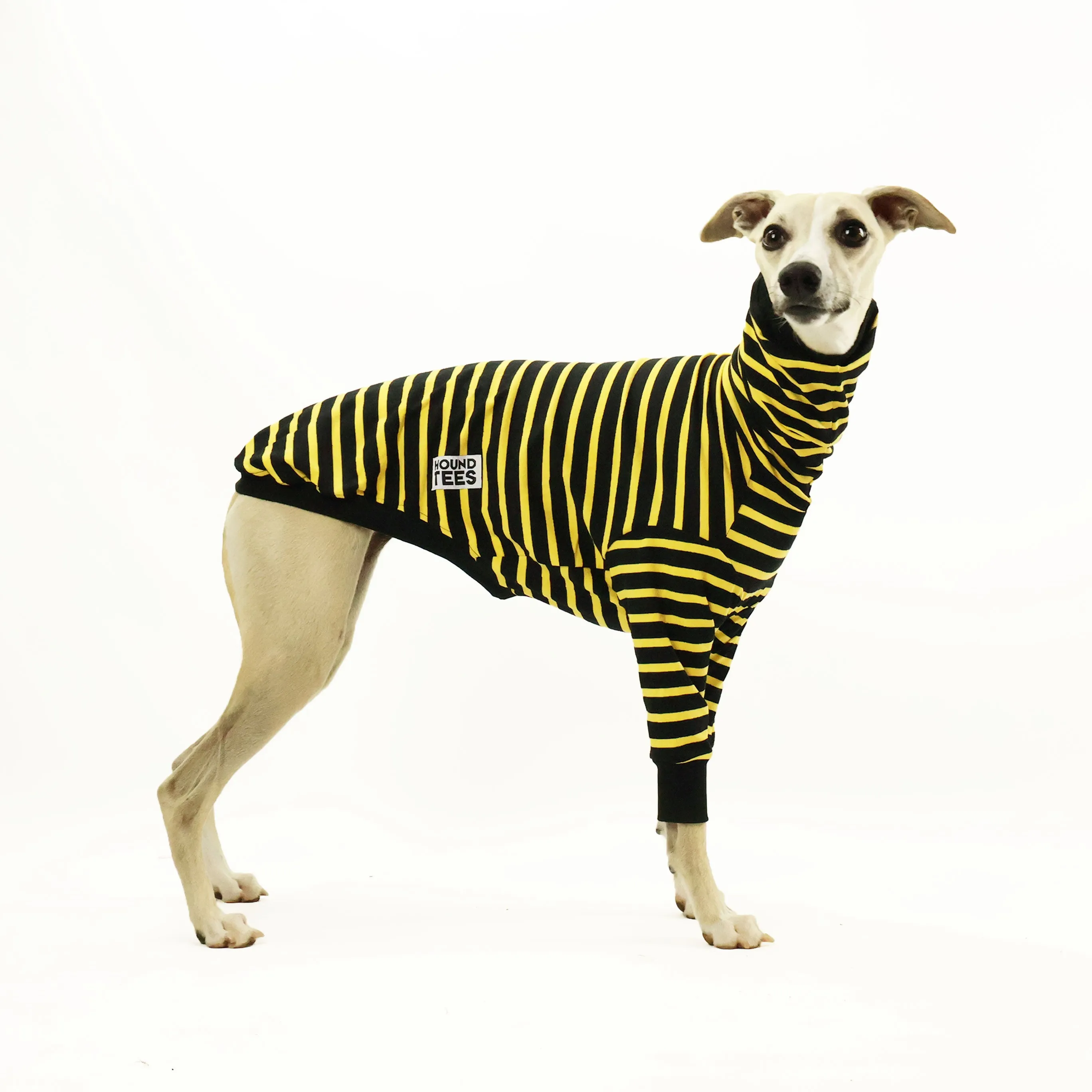 Bumble Whippet Long Sleeve Hound-Tee