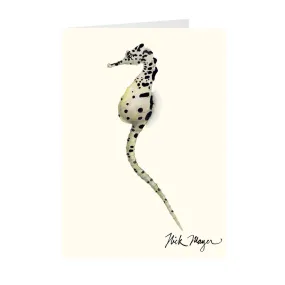 Pot Bellied Seahorse Notecards