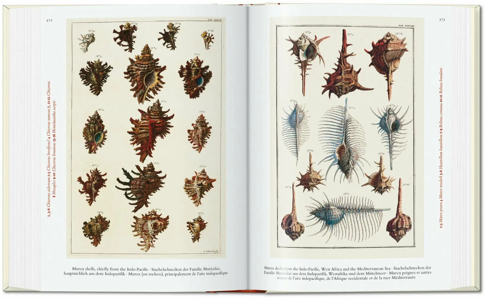 Taschen Books - Seba. Cabinet of Natural Curiosities