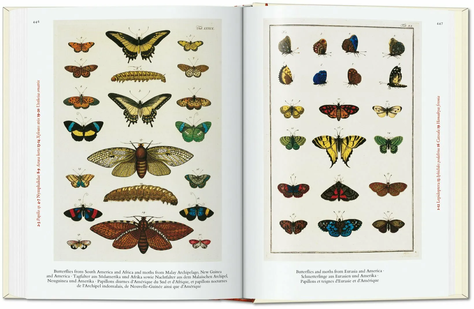 Taschen Books - Seba. Cabinet of Natural Curiosities